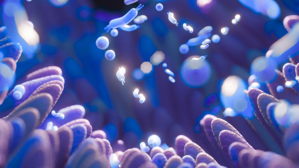 microbiote
